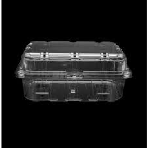 CLAMPSHELL ZIBO FRUIT T113L 1'S CLAMPSHELL ZIBO FRUIT T113L 1'S